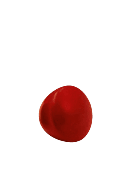 Comandante Standard Knob, Beech Wood, Lacquared Red, Ø44mm