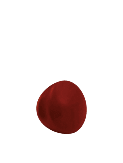 Comandante Standard Knob, Beech Wood, Lacquared Wine Red, Ø44mm